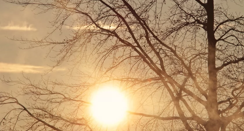 Łuków - Prognoza pogody na 2 września 2024: Częściowe zachmurzenie, temperatura do 29°C