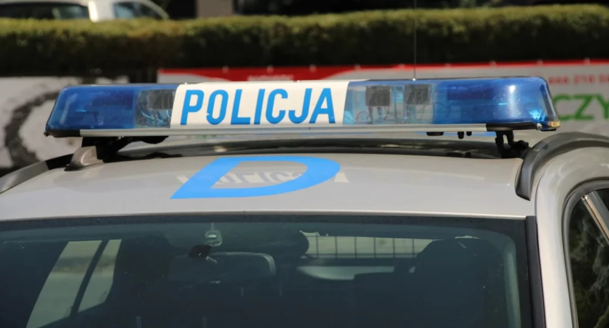 Łoś kontra Skoda – kolizja przy Biedronce w Świdrach