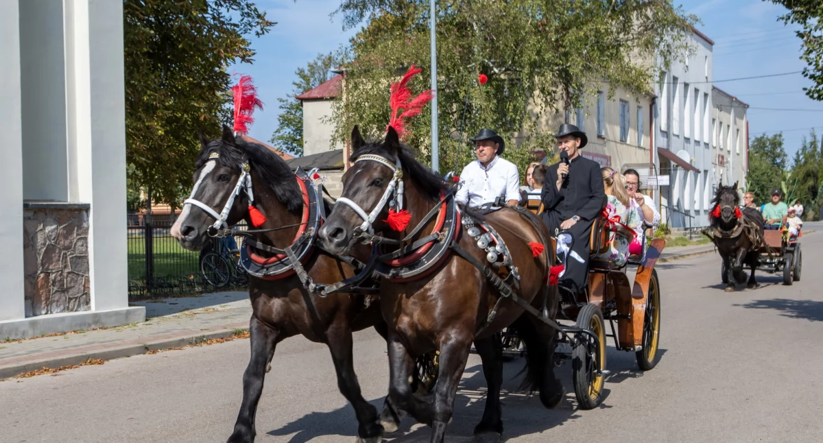 Dożynki Parafialne w Jedlance! Święto plonów i wspólnoty w parafii Chrystusa Króla  (FOTO)
