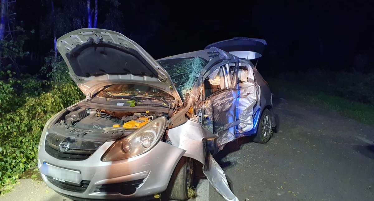 Wypadek na trasie Turze - Rogi Strzyżew: Opel Corsa uderzył w drzewo