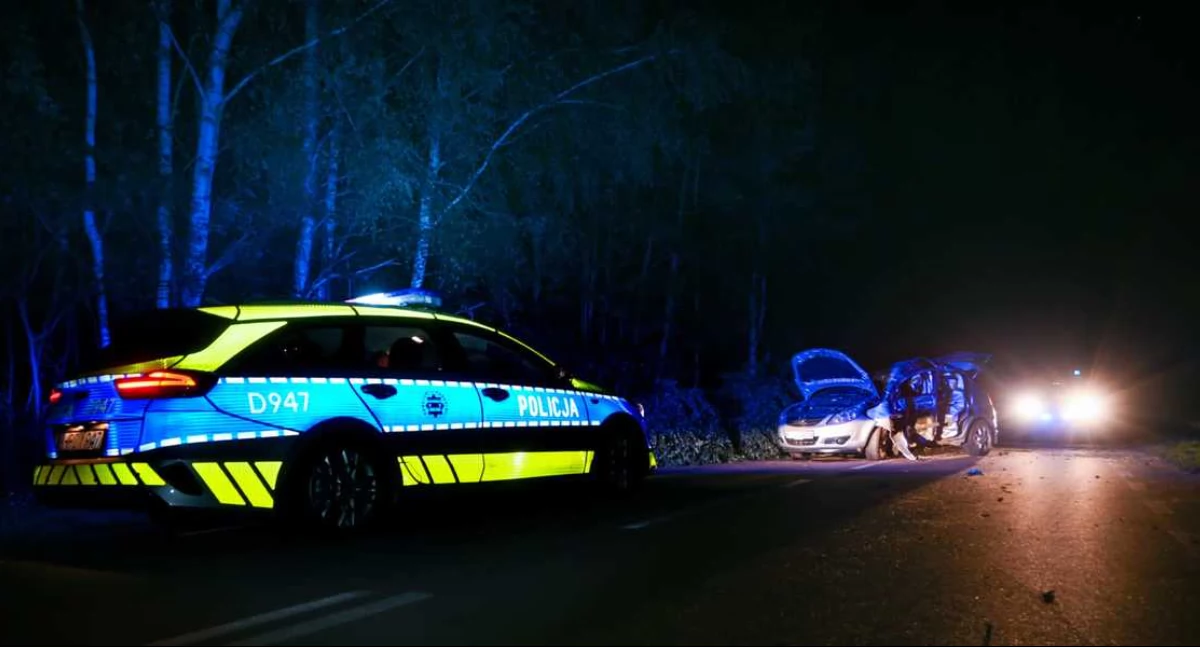 Nowe informacje ws. wypadku w gminie Łuków. Uderzył w drzewo tak mocno, że wyrwało je z ziemi!