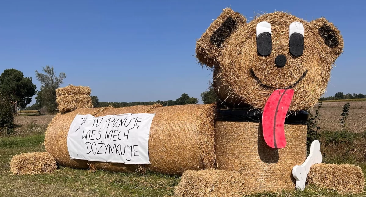 Wola Mysłowska: Piękne witacze zapraszają do Świdra na Dożynki