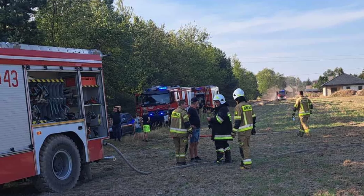 Pożar trawy w Zgórznicy: Szybka reakcja służb ratunkowych