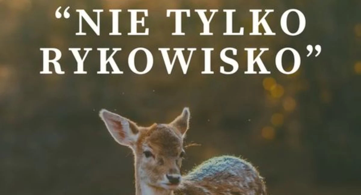  Wernisaż Wystawy Przyrodniczej w Woli Gułowskiej: Fotografia Natury w Obiektywie Andrzeja Wierzbieńca