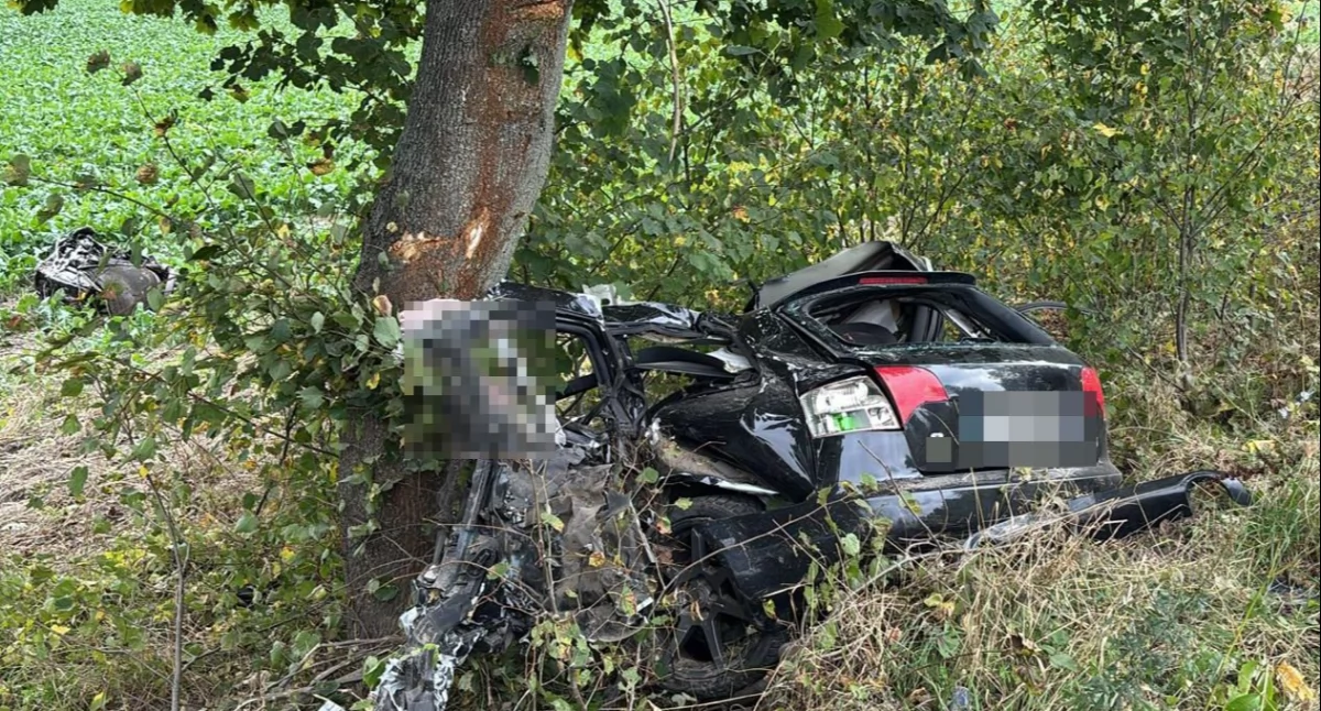 Tragiczny wypadek w regionie: 24-letni kierowca zginął na miejscu