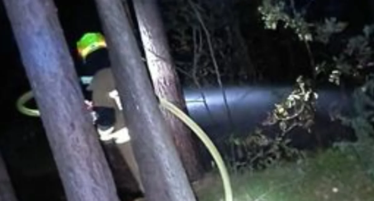 Groza na trasie Wola Okrzejska-Krzywda: ogień szalał, Strażacy w akcji!