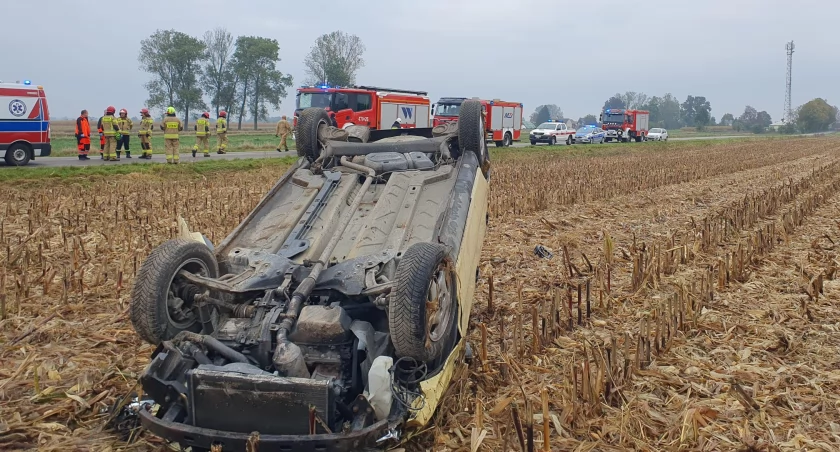 O krok od tragedii! 30-latek dachował, próbując uniknąć zwierzęcia na drodze