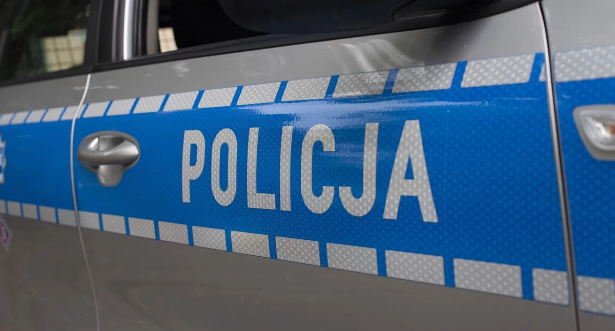 Narkotyki, kradzieże i nietrzeźwi kierowcy. Kronika kryminalna łukowskiej policji