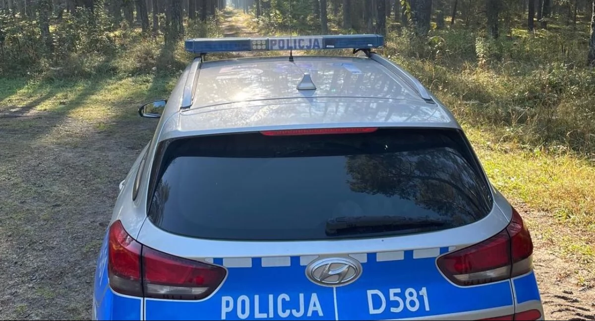 Szczęśliwy finał poszukiwań! Zaginiona grzybiarka odnaleziona przez policję