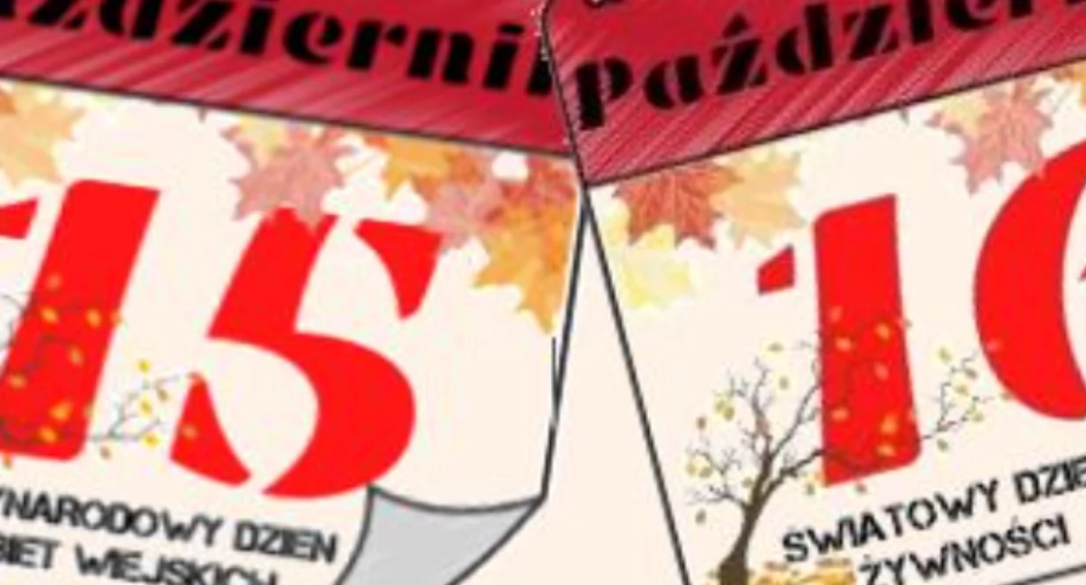 Spotkanie z Wielokulturową Kuchnią w Starym Jamielniku – „Co dziś zjemy?”