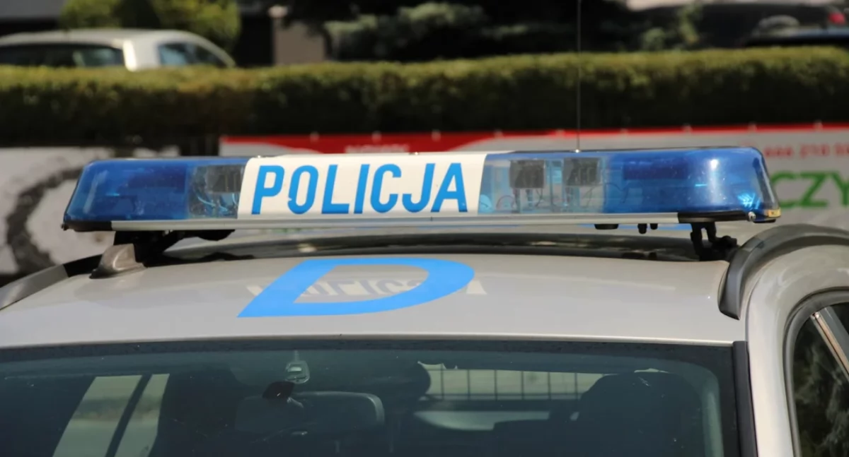 Weekendowe zderzenia z dzikimi zwierzętami w powiecie łukowskim. Dwa samochody uszkodzone, zwierzęta padły