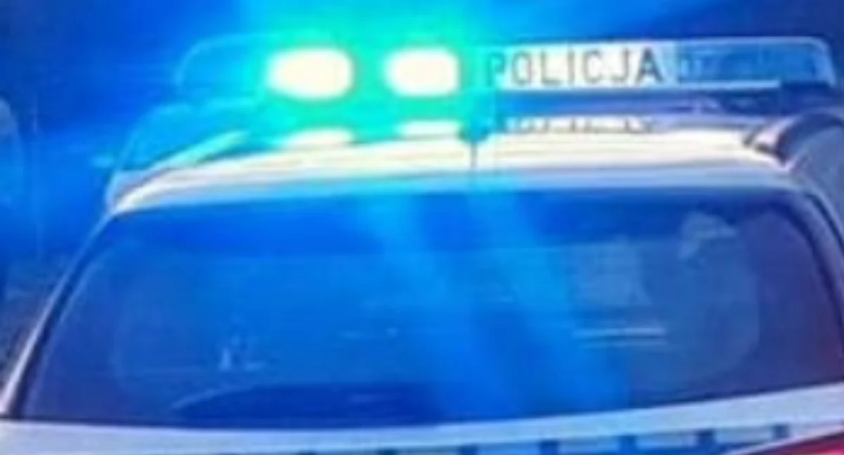  Sensacyjne znalezisko z czasów wojny w Wólce Domaszewskiej