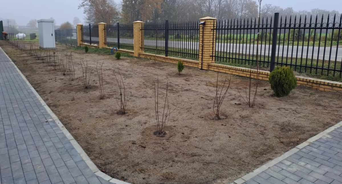 Szkoła w Sarnowie zazieleniona! 200 nowych drzew i krzewów upiększa okolicę