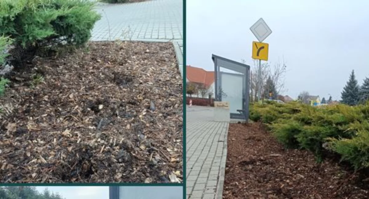 Wandale atakują Łuków! Urzędnicy oburzeni po skandalicznej kradzieży!
