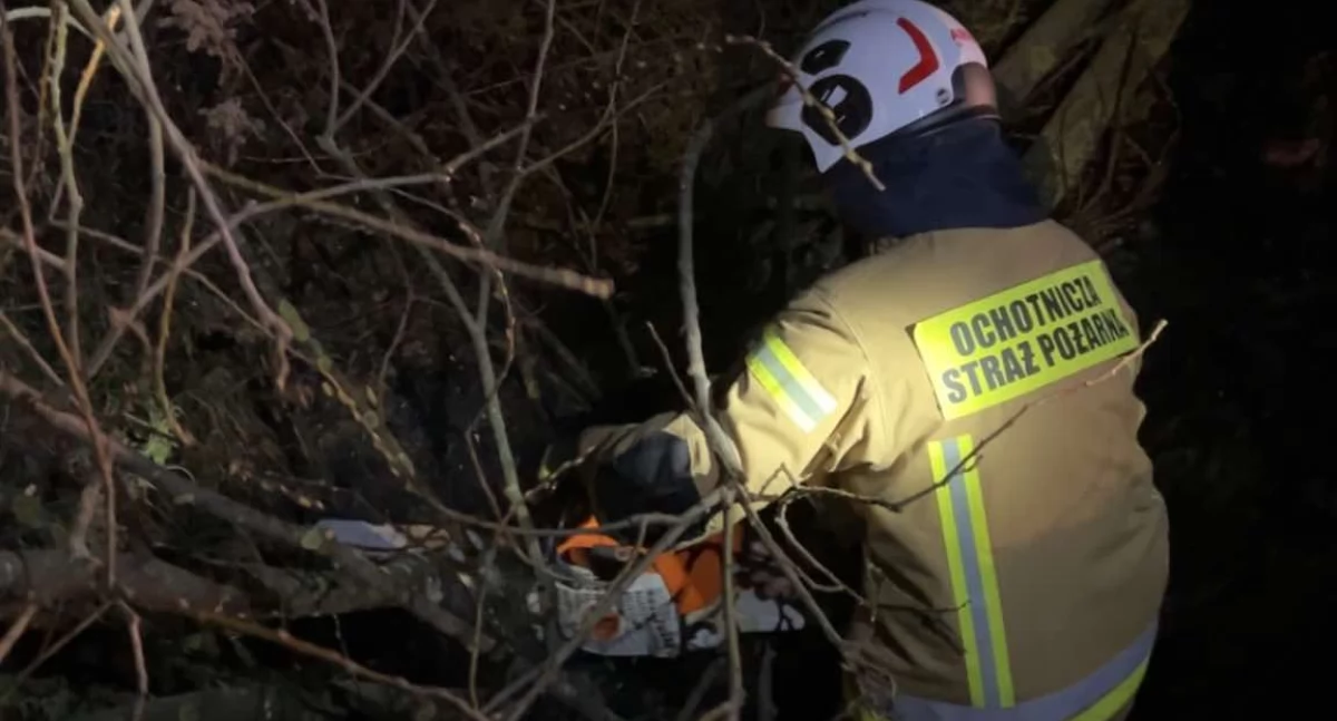 Zagrożenie na drodze i walka z ogniem – bohaterowie z OSP Krynka w akcji! 