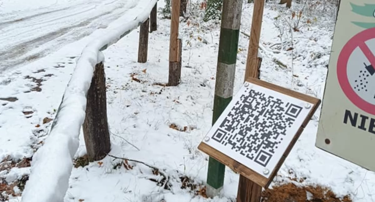 Sekrety Nadleśnictwa Łuków na wyciągnięcie ręki! Tablice QR zmieniają zwiedzanie