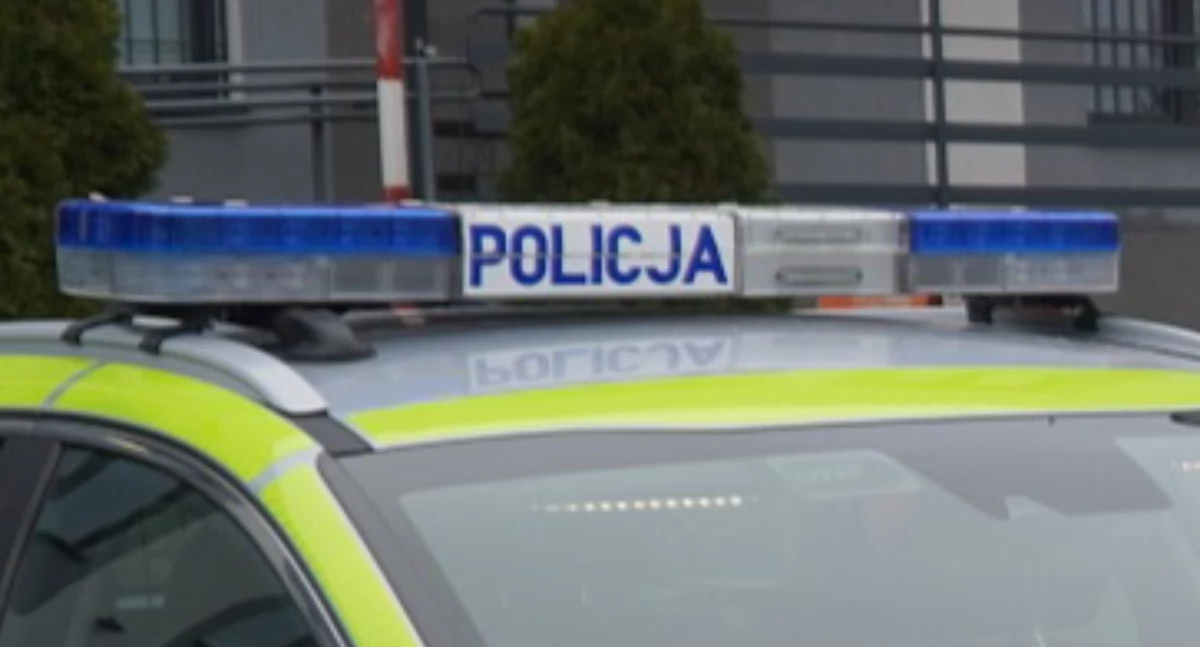 Niebezpieczne spotkania na drogach w powiecie łukowskim. Kolizje z sarną i łosiem w ciągu dwóch dni!