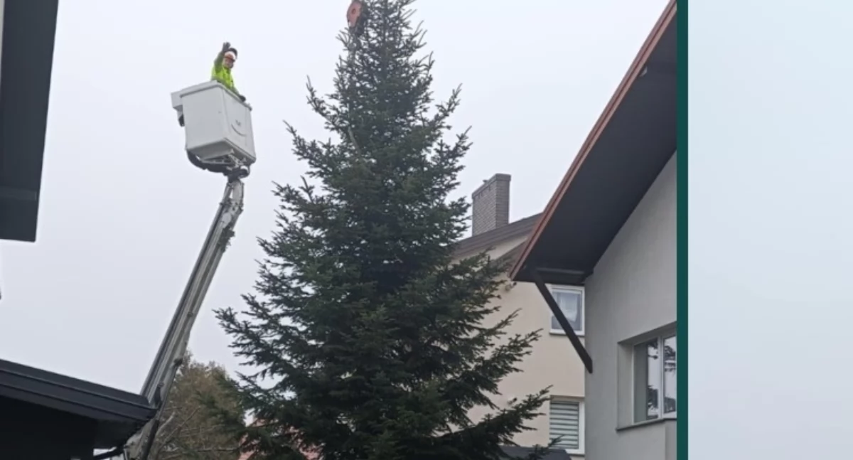 Łuków już gotowy na święta! Mieszkańcy podarowali choinkę na Plac Solidarności