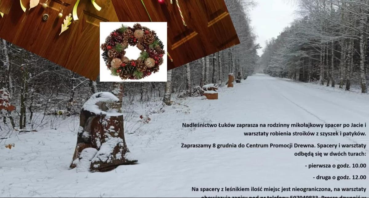 Magiczne Mikołajki w Nadleśnictwie Łuków. Spacer z leśnikiem i warsztaty świąteczne czekają!
