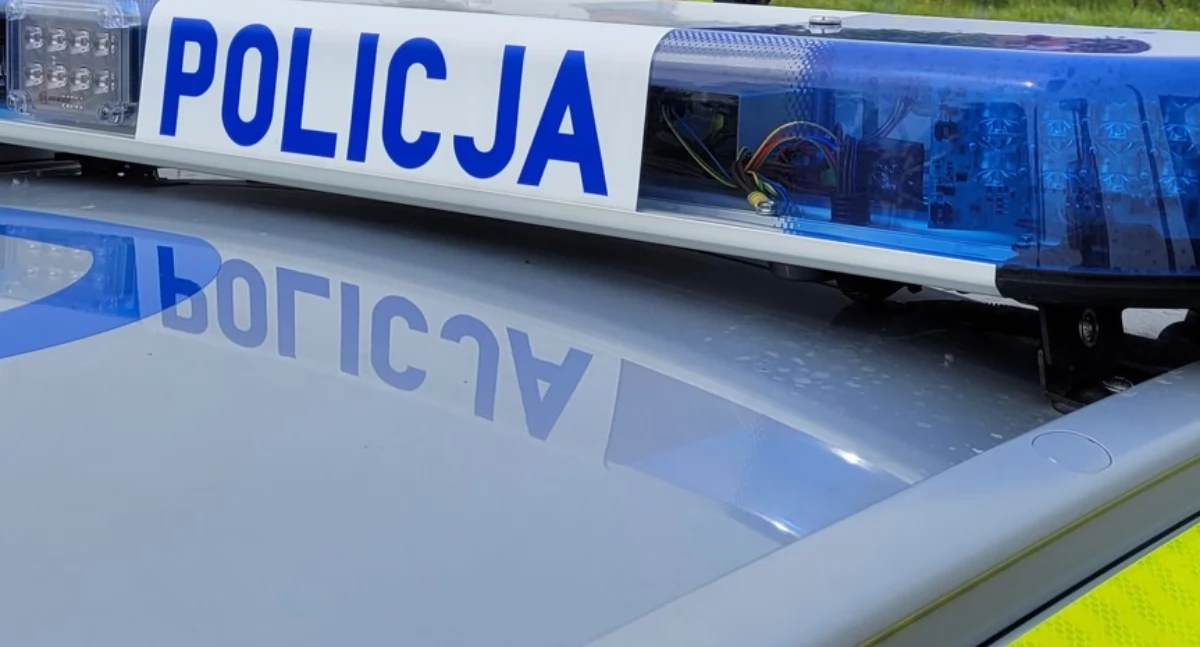 Wypadek w Łukowie: Potrącenie psa na ulicy Świderskiej
