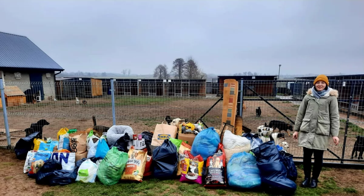 Gwiazdka dla Zwierzaków 2024. Rekordowa zbiórka darów dla schroniska i domów tymczasowych