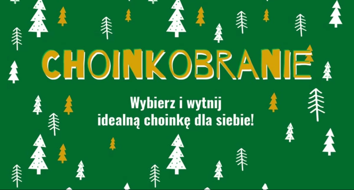 Magiczne Choinkobranie 2024 – Wybierz swoje świąteczne drzewko!