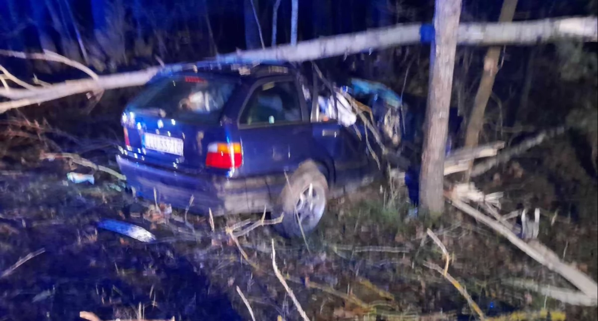 Wypadek na drodze Adamów-Krzywda! Samochód wylądował na drzewie. W środku narkotyki (WIDEO)