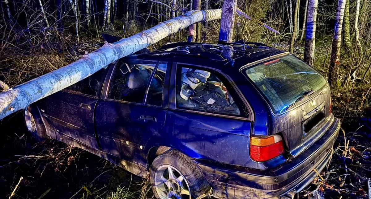 Dwie osoby ranne w wypadku na trasie Krzywda-Adamów. BMW rozbite, drzewo ścięte