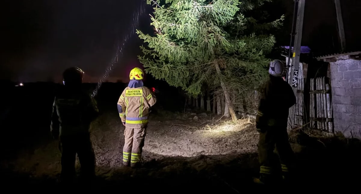 Potężna burza w powiecie łukowskim. Powalone drzewo zablokowało linię energetyczną!