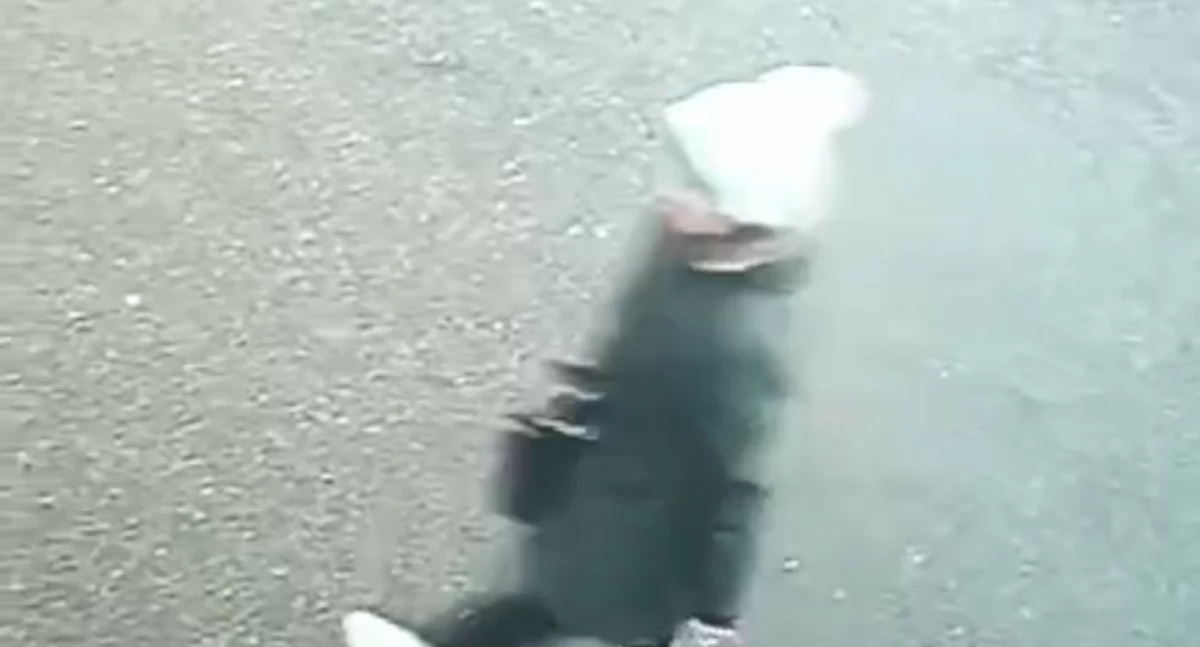 Łuków w alarmie: Zaginiona 73-latka nadal nieodnaleziona! Policja i straż w akcji