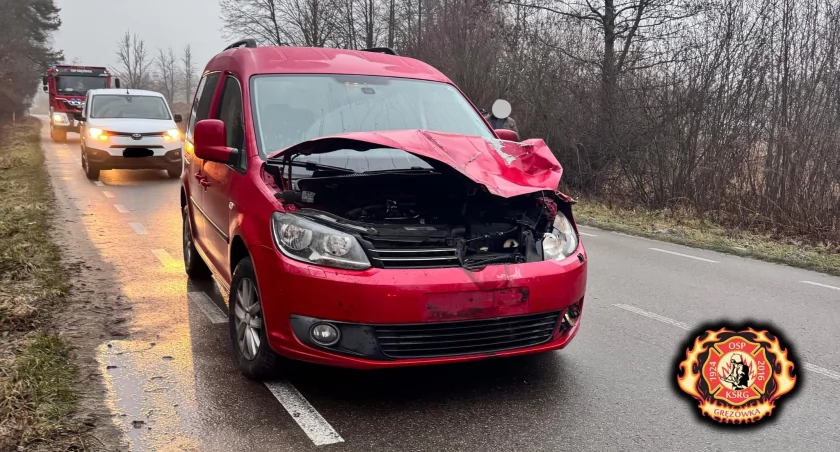 Poranny wypadek w Gręzówce. Jeleń wpadł pod Volkswagena