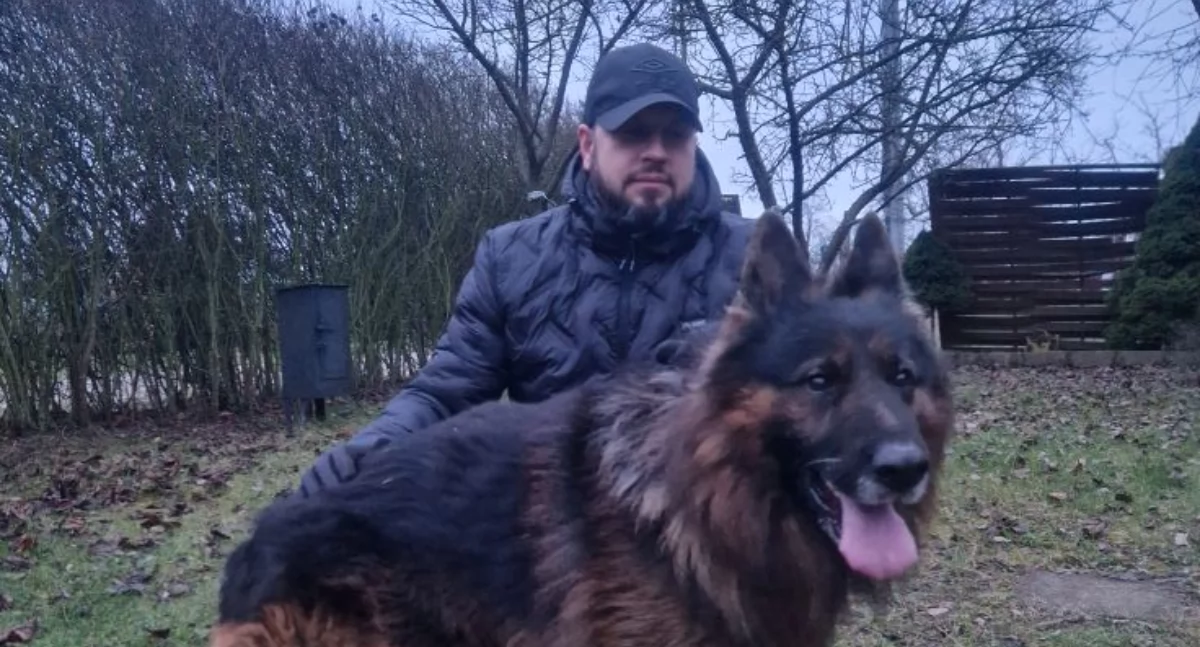 Rex czeka na ratunek. Owczarek niemiecki z Łukowa pilnie szuka domu