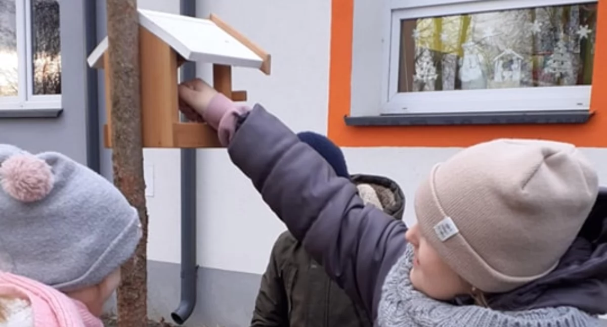 Uczniowie z Siedlisk pomagają ptakom! Zobacz, jak dbają o naturę zimą