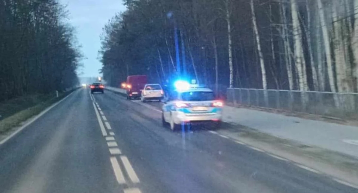 Dramatyczny poranek w Łukowie! Zderzenie auta z sarną na ul. Świderskiej