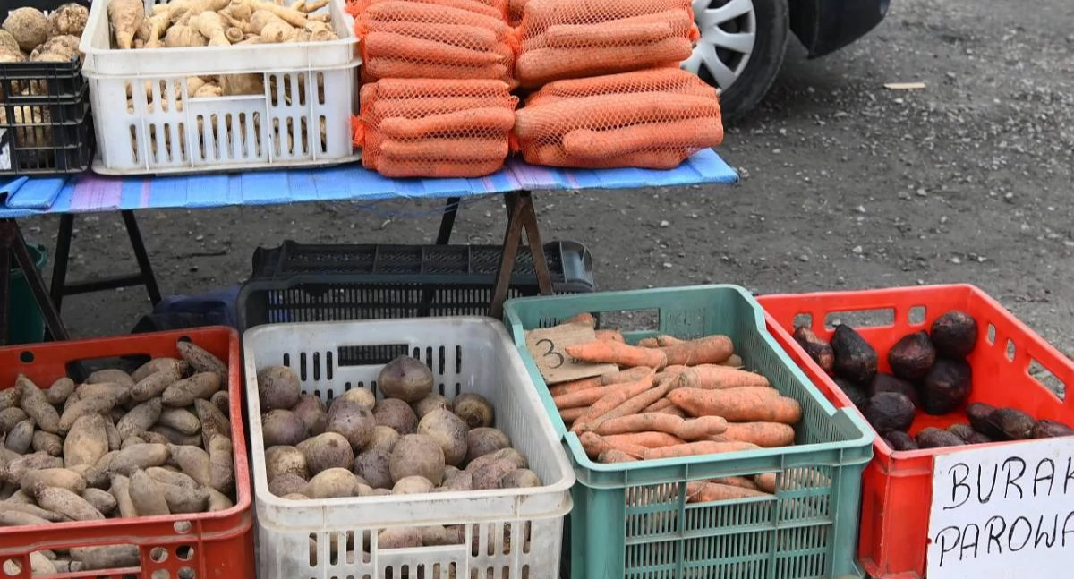 Ceny na targu w Łukowie! Marchew po 3 zł, jajka po złotówkę – ile kosztują inne produkty?