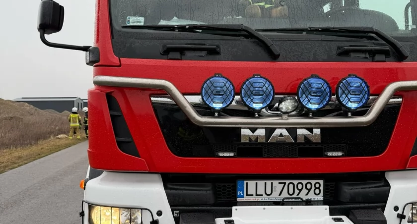 Kolizja na drodze w gminie Łuków! Policja i strażacy interweniowali w sprawie potrąconej sarny