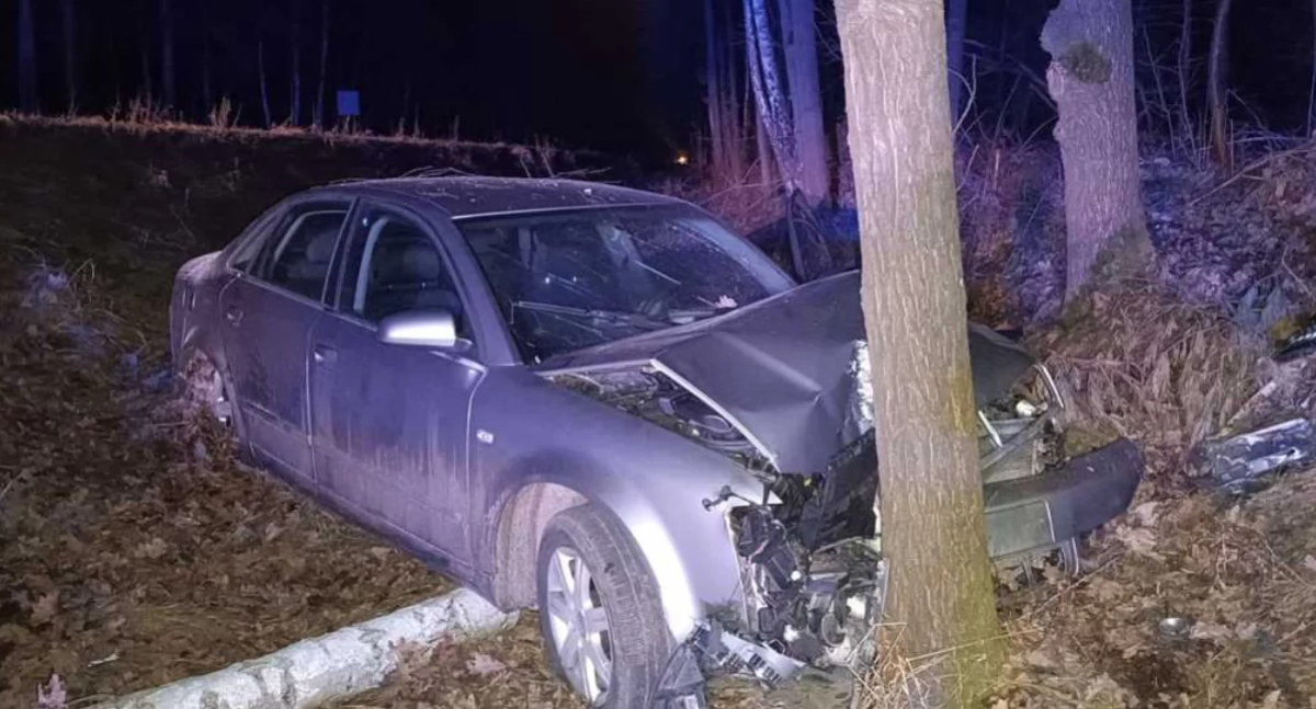 Nocny horror na drodze! Młody kierowca rozbił Audi, ratując się przed łosiem