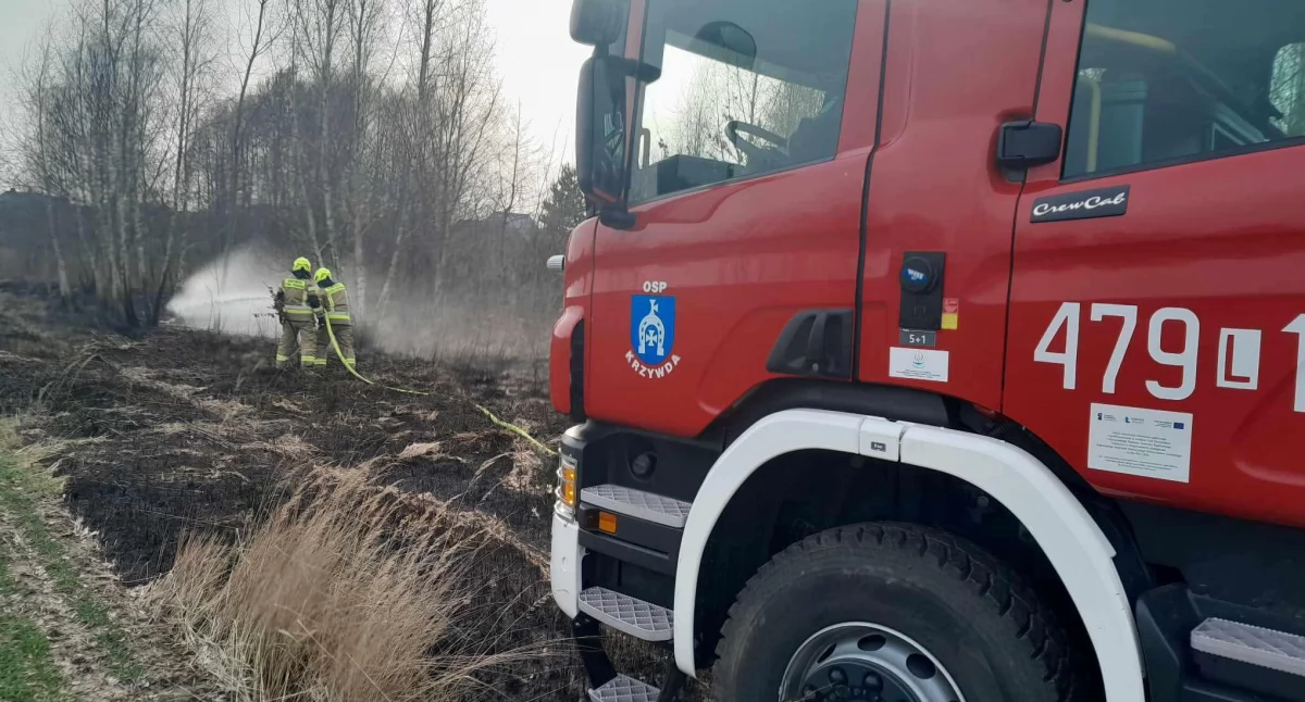 Pożar traw w Kożuchówce – szybka interwencja strażaków