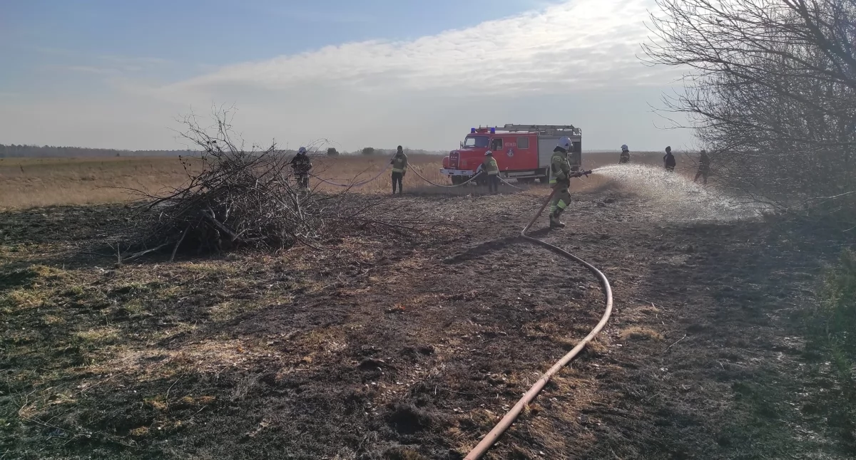 Pożar nieużytków w gminie Adamów. Szybka akcja strażaków zapobiegła tragedii