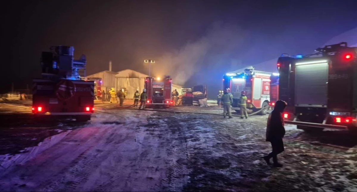 Tragiczny pożar kurnika w Gostchorzy! 36 tysięcy kurczaków spłonęło żywcem