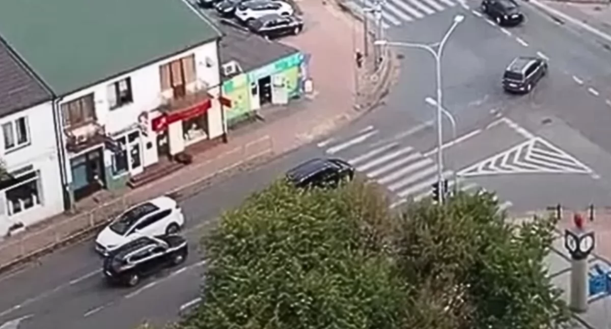 Burmistrz reaguje na interwencję! Czy Międzyrzecka w końcu zostanie posprzątana?