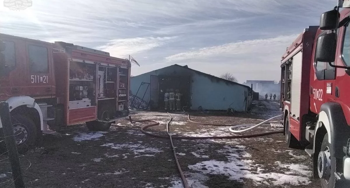 Kolejny pożar kurnika w naszej okolicy! Tym razem w powiecie radzyńskim