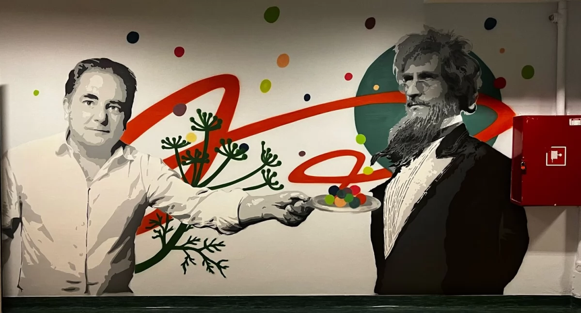 Robert Makłowicz, Ambroży Kleks, Król Julian i Harry Potter na muralach w Szkole Podstawowej nr 2 w Łukowie! 