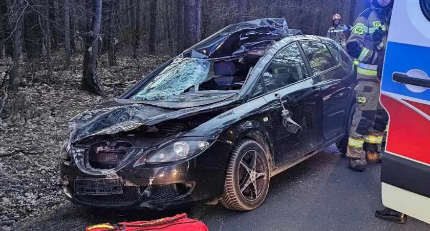 Dramatyczny wypadek na DK 63! Zderzenie osobówki z łosiem, jedna osoba ranna