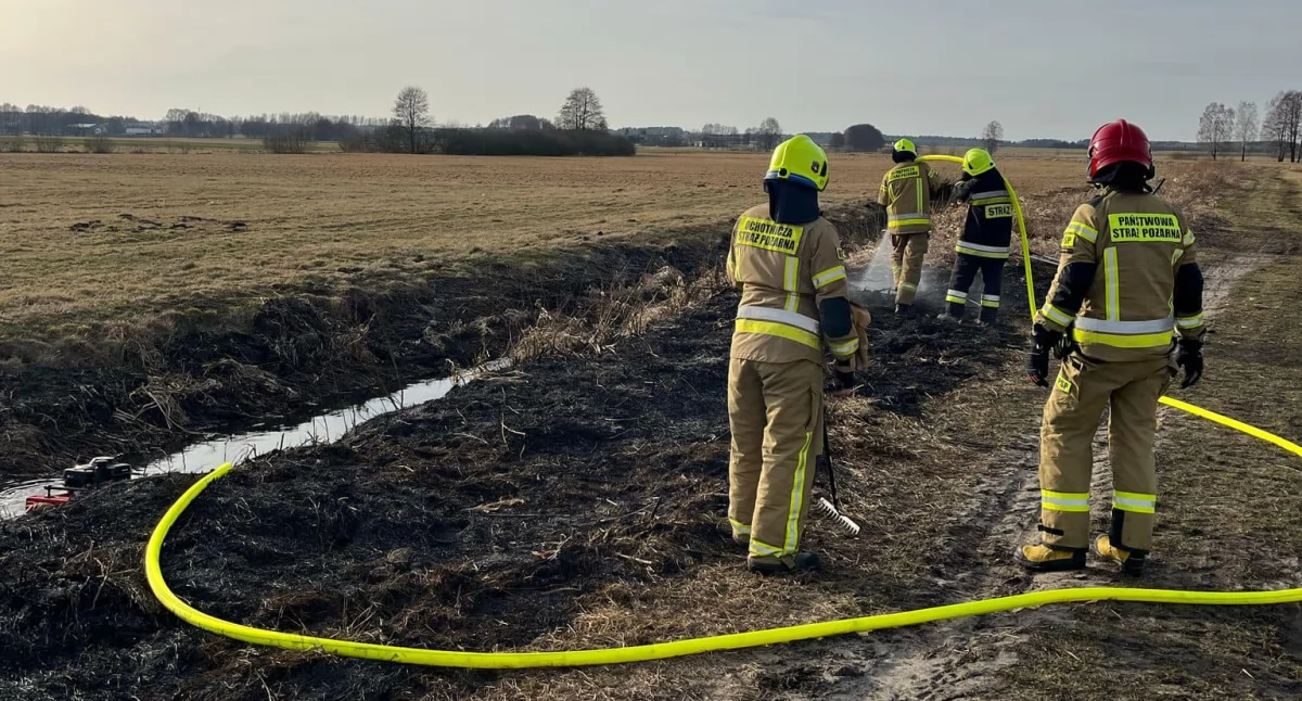 Plaga pożarów w powiecie łukowskim! Strażacy biją na alarm