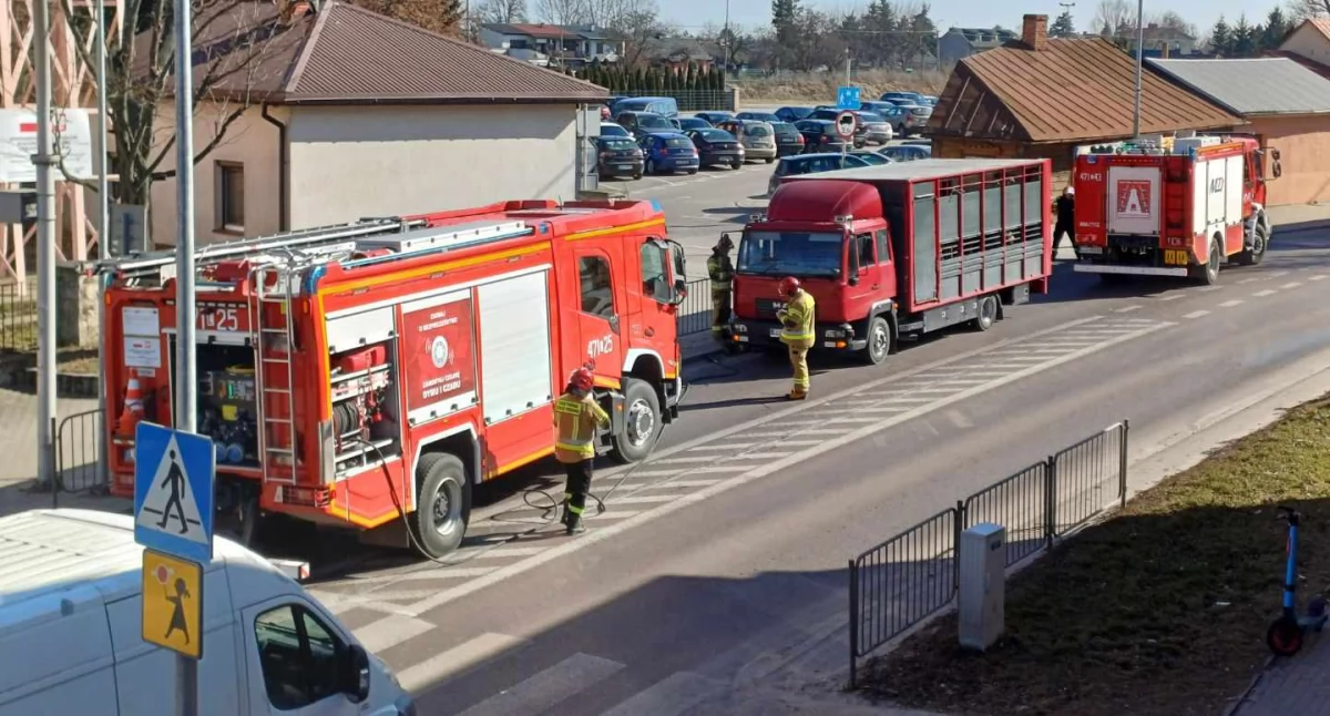Pożar samochodu dostawczego z bydłem w Łukowie! Kierowca sam ugasił ogień (NASZ NEWS)