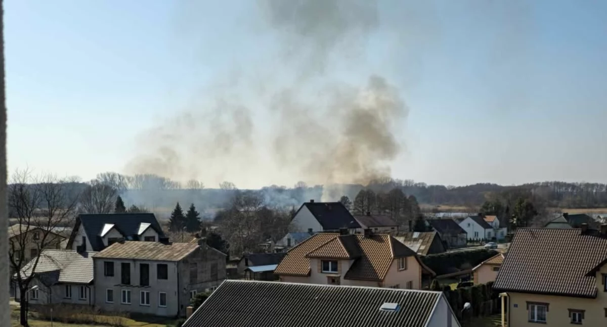 Pożar traw w Adamowie! Ogień przy stawach, spłonęły 3 hektary