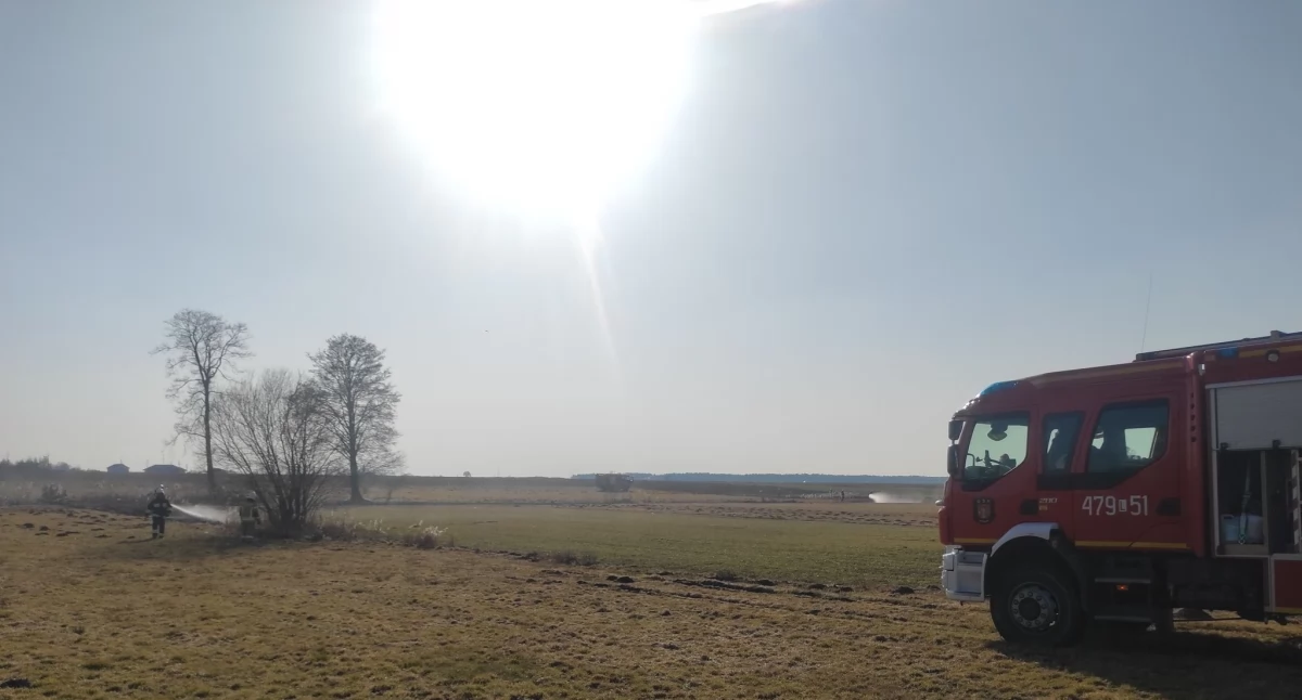 Pożar nieużytków rolnych w Tuchowiczu! Strażacy w akcji