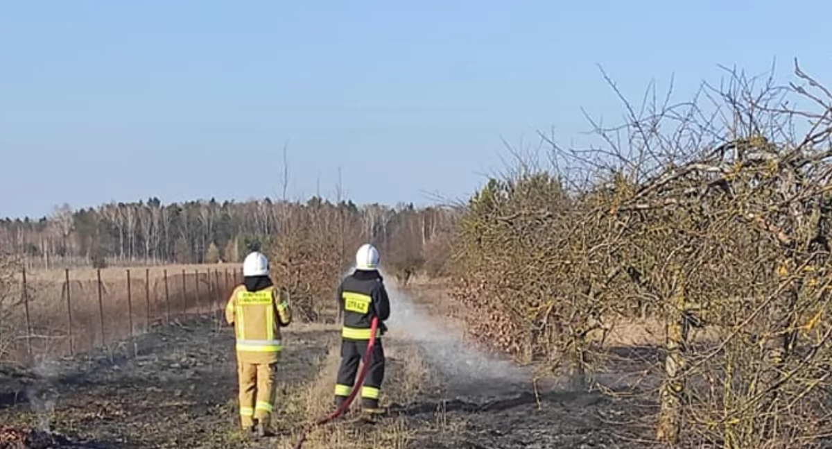Płomienie tuż obok zabudowań! Groźny pożar traw w powiecie łukowskim