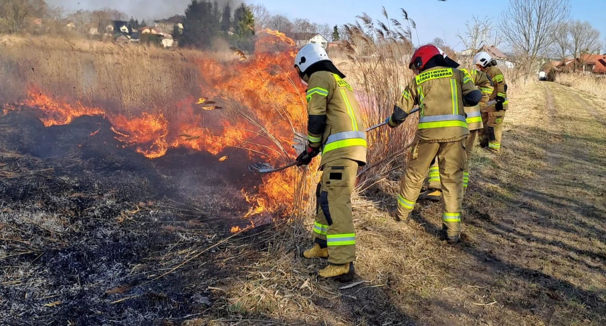 Gwałtowny wzrost pożarów traw w powiecie łukowskim! Strażacy biją na alarm